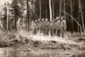 GA_Dod_018